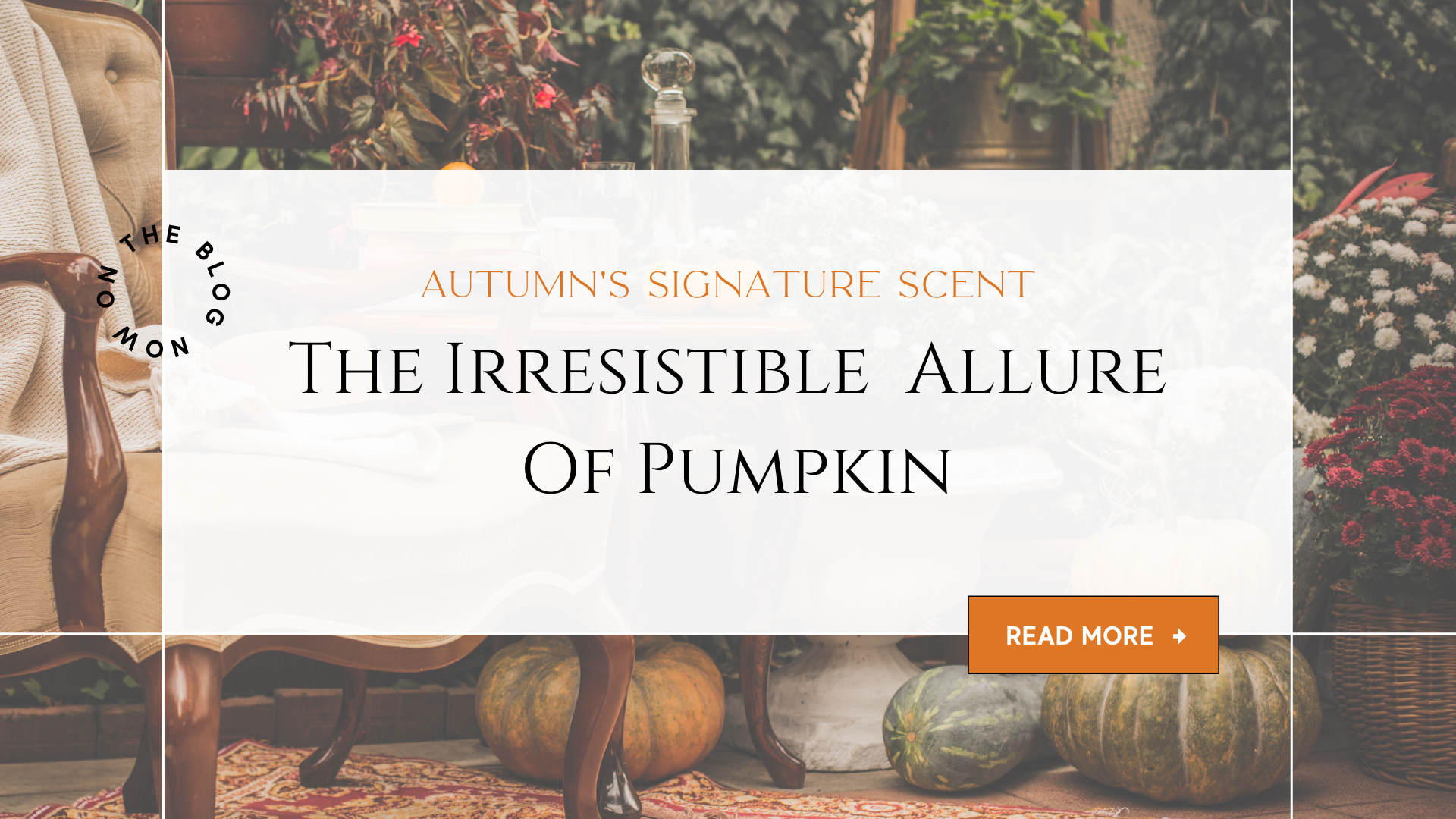 Picture of Pumpkin Background with Blog Post Title reading: Autumn's Signature Scent: The Irresistible Allure of Pumpkin