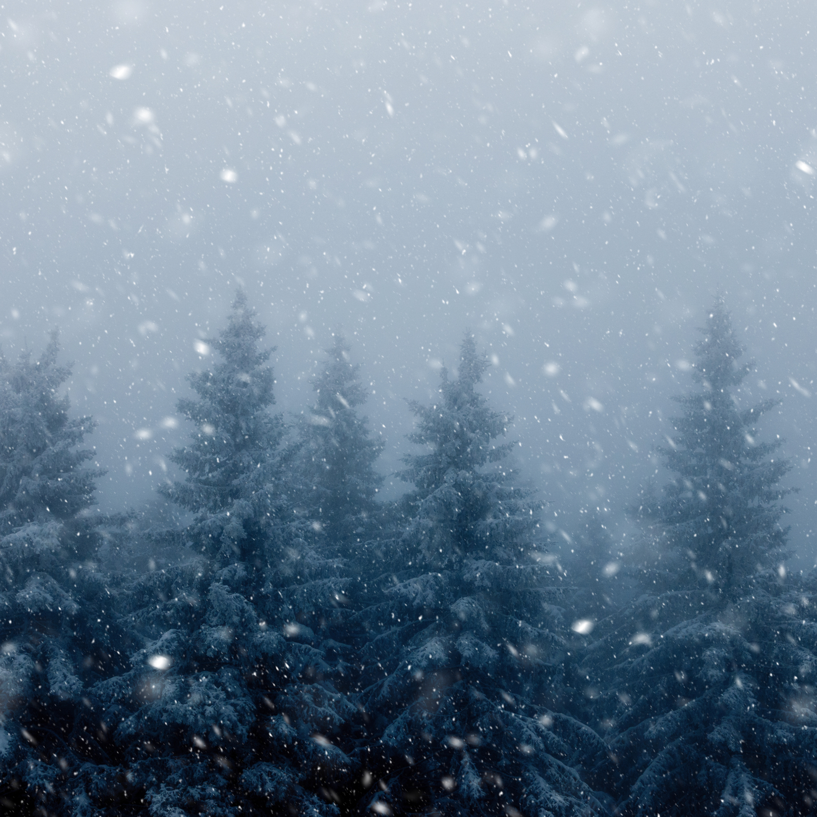 Snowfall Home Fragrance Collection