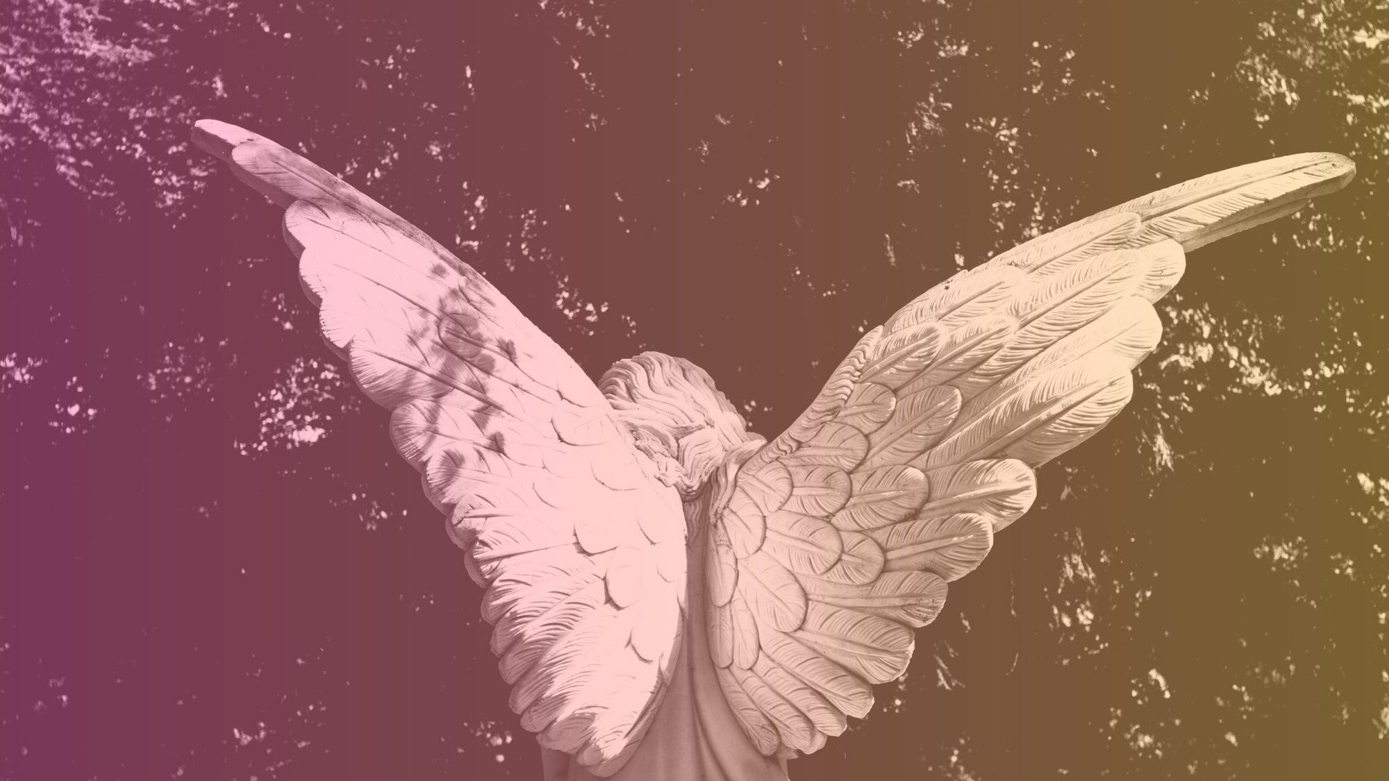 Angel Numbers Collection
